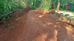 Warga Keluhkan Jalan Penghubung Batu Tegi–Sinar Sekampung Rusak Selama 20 Tahun, Minta Prioritas Pembangunan