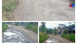 Jalan Lintas Kabupaten di Pekon Batu Bedil Rusak Parah dan Berlubang, Warga Desak Perbaikan Segera